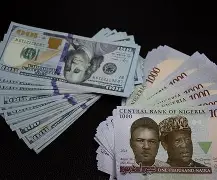 CBN’s New Diaspora Accounts: What the NRNOA and NRNIA Mean for Nigerians Abroad